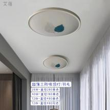 超薄三防吸顶灯-羽毛